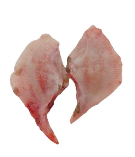AILE RAIE DOUCE NON PELéE CALIBRE 1/3  PêCHE EN MER OCéAN ATLANTIQUE NORD-EST COLIS DE 2KG PACK D...