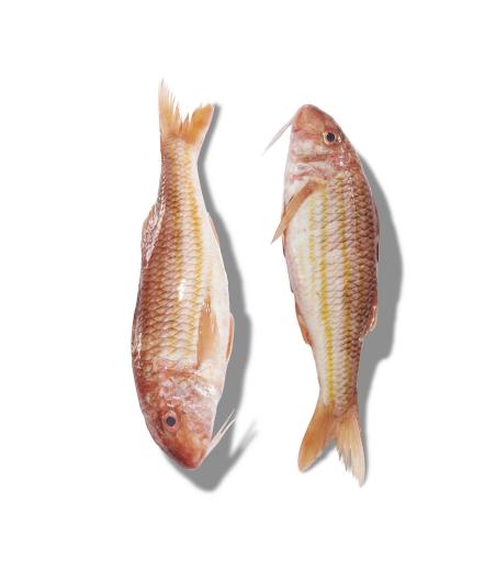 ROUGET BARBET FRITURE PêCHE EN MER MER NOIRE ET MéDITERRANNéE COLIS DE 4KG PACK DE 4