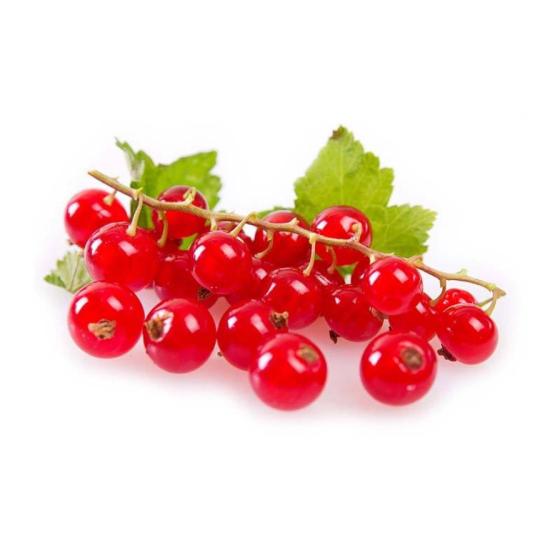 GROSEILLE CATEGORIE 1. ORIGINE : UE BARQUETTE DE 0,125 KG VENDU PAR PACK DE 10 PIèCES PACK DE 10