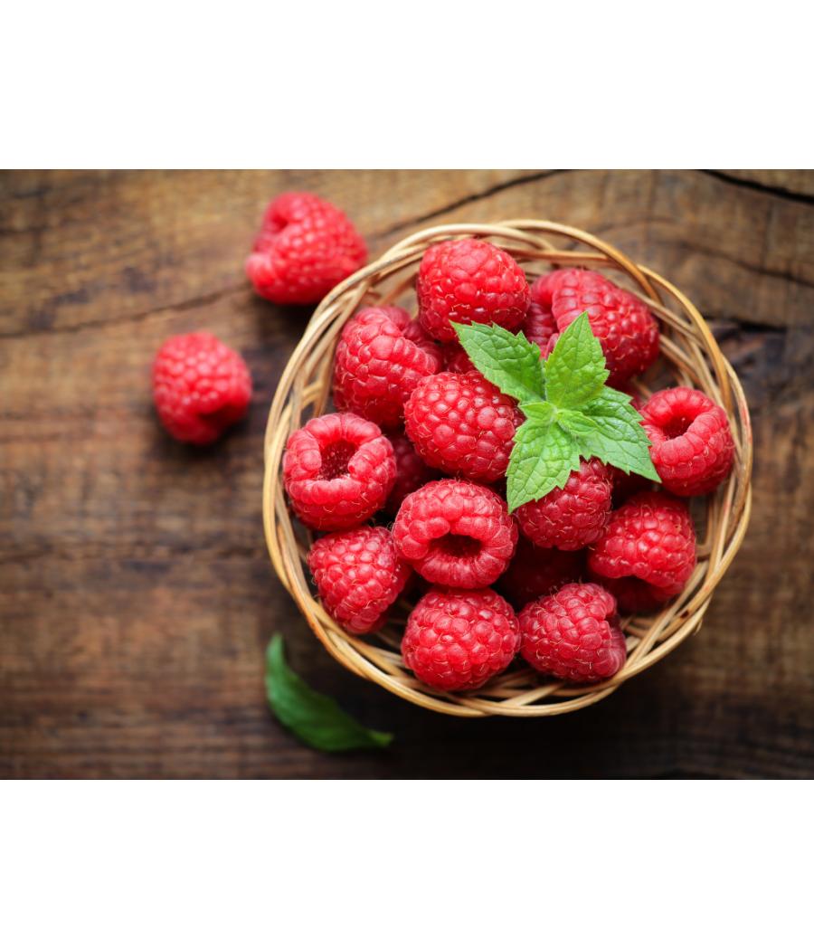 FRAMBOISE CATéGORIE 1. ORIGINE PORTUGAL BARQUETTE DE 0,125 KG VENDU PAR PACK DE 12 PIèCES PACK DE ... FRAMBOISE CATéGORIE 1. ORIGINE PORTUGAL BARQUETTE DE 0,125 KG VENDU PAR PACK DE 12 PIèCES PACK DE ...