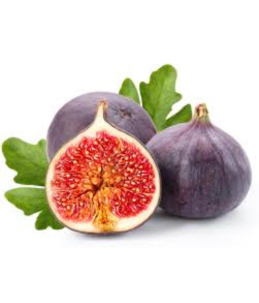 FIGUE NOIRE ORIGINE : PéROU BARQUETTE DE 0,25 KG VENDU PAR PACK DE 8 PIèCES PACK DE 8 FIGUE NOIRE ORIGINE : PéROU BARQUETTE DE 0,25 KG VENDU PAR PACK DE 8 PIèCES PACK DE 8