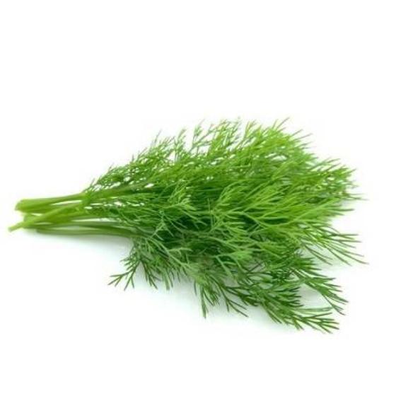 ANETH BARQUETTE DE 0,03 KG VENDU PAR PACK DE 30 PIèCES PACK DE 30
