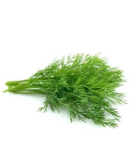ANETH BARQUETTE DE 0,03 KG VENDU PAR PACK DE 30 PIèCES PACK DE 30