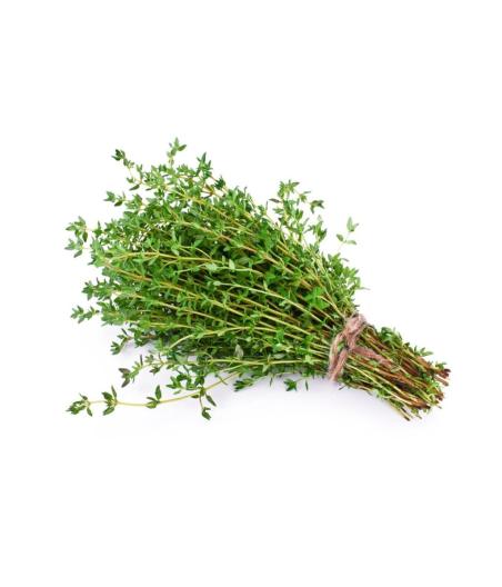 THYM FRAIS ORIGINE : UE BARQUETTE DE 0,03 KG VENDU PAR PACK DE 30 PIèCES PACK DE 30