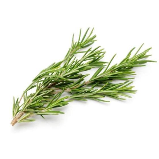 ROMARIN FRAIS ORIGINE : UE BARQUETTE DE 0,03 KG VENDU PAR PACK DE 30 PIèCES PACK DE 30