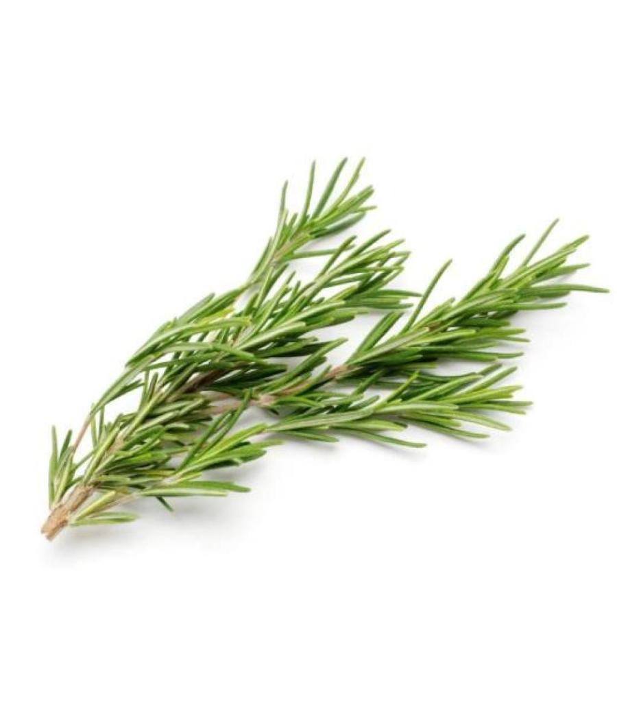 ROMARIN FRAIS ORIGINE : UE BARQUETTE DE 0,03 KG VENDU PAR PACK DE 30 PIèCES PACK DE 30 ROMARIN FRAIS ORIGINE : UE BARQUETTE DE 0,03 KG VENDU PAR PACK DE 30 PIèCES PACK DE 30