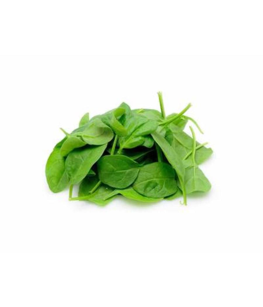 POUSSE D'EPINARD BOIS ORIGINE FRANCE BARQUETTE DE 0,15 KG VENDU PAR PACK DE 8 PIECES POUSSE D'EPINARD BOIS ORIGINE FRANCE BARQUETTE DE 0,15 KG VENDU PAR PACK DE 8 PIECES