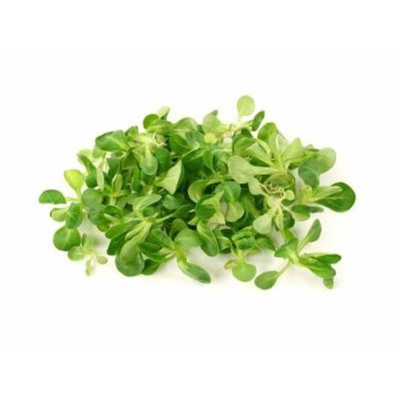 MâCHE BOIS ORIGINE FRANCE BARQUETTE DE 0,15 KG VENDU PAR PACK DE 8 PIèCES PACK DE 8