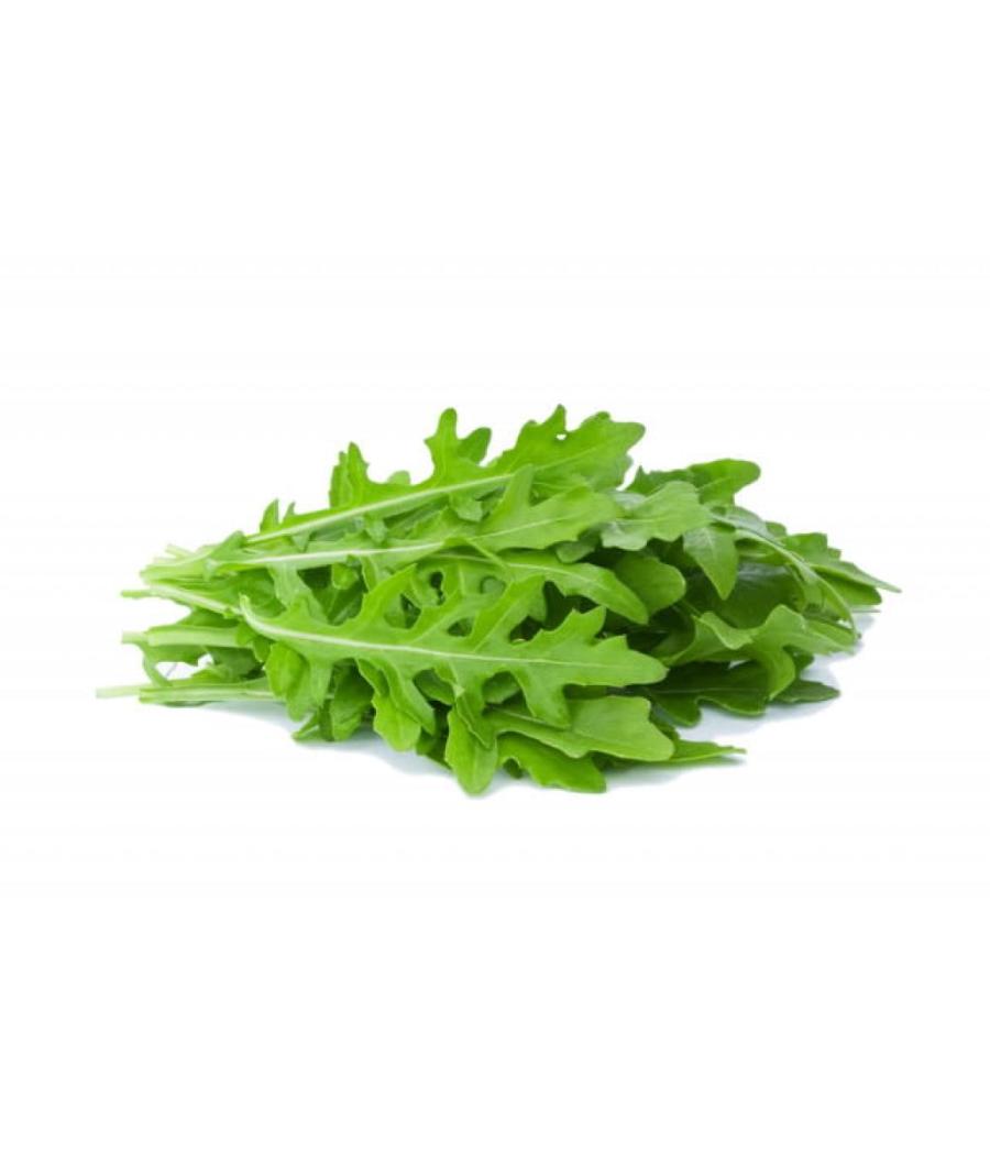ROQUETTE ORIGINE FRANCE BARQUETTE DE 0,5 KG VENDU PAR PACK DE 2 PIèCES PACK DE 2 ROQUETTE ORIGINE FRANCE BARQUETTE DE 0,5 KG VENDU PAR PACK DE 2 PIèCES PACK DE 2