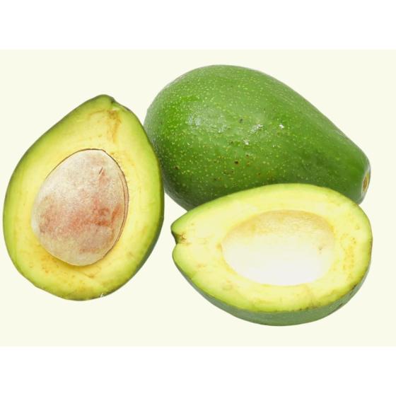 AVOCAT TROPICAL ORIGINE : BRéSIL CALIBRE : 10 PACK DE 5