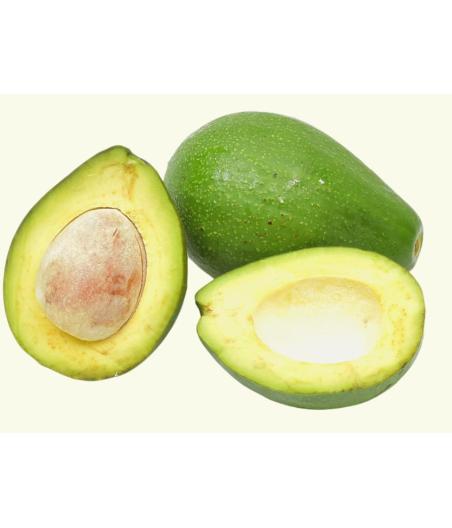 AVOCAT TROPICAL ORIGINE : BRéSIL CALIBRE : 10 PACK DE 5