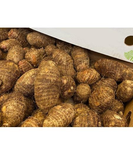 TARO ORIGINE : COSTA RICA PACK DE 15