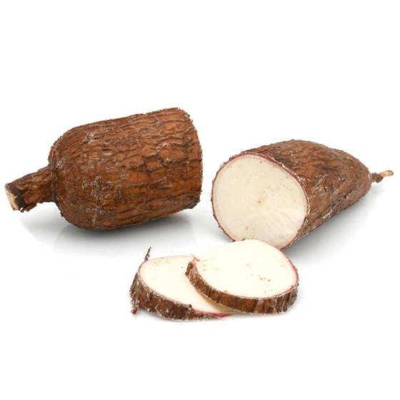 MANIOC ORIGINE : COSTA RICA PACK DE 18