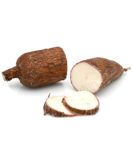 MANIOC ORIGINE : COSTA RICA PACK DE 18