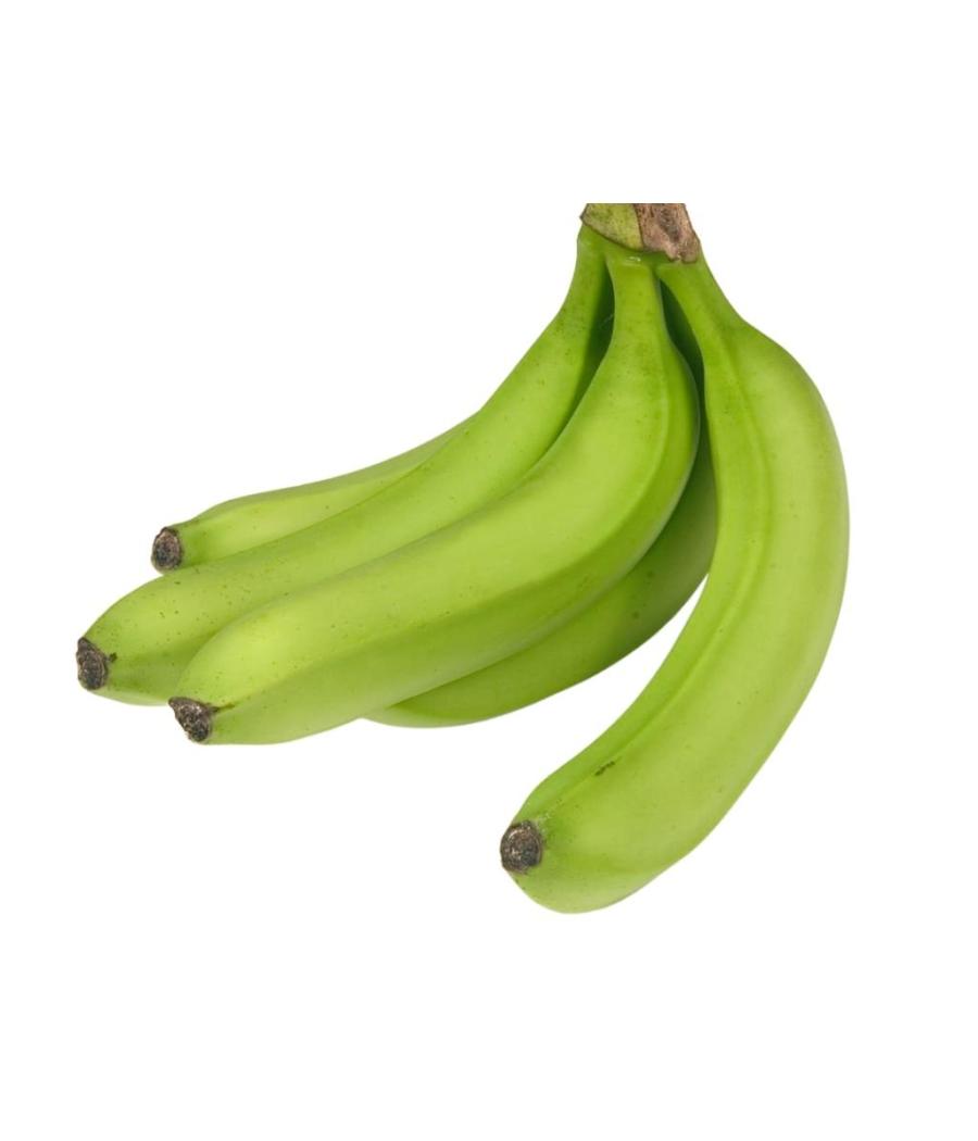 BANANE VERTE ORIGINE : COSTA RICA CALIBRE : 2 PACK DE 18 BANANE VERTE ORIGINE : COSTA RICA CALIBRE : 2 PACK DE 18