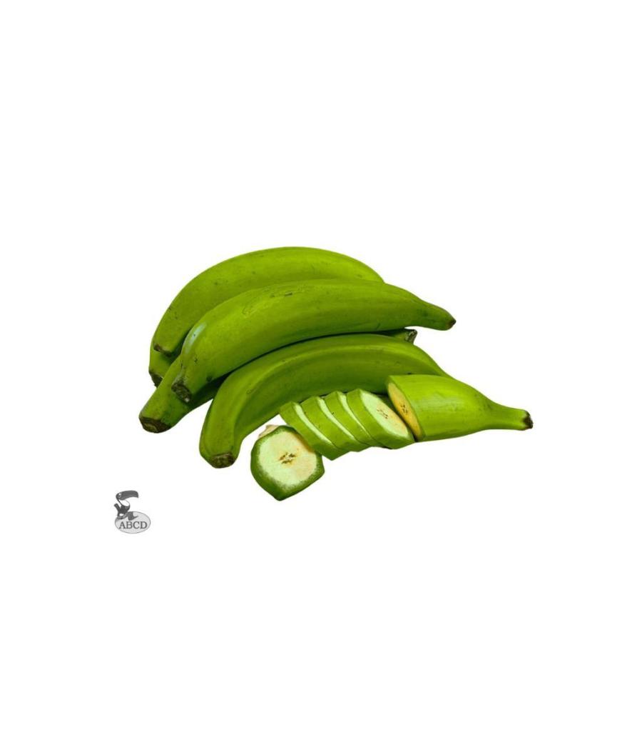 BANANE PLANTAIN VERTE ORIGINE : COLOMBIE CALIBRE : 2 PACK DE 23 BANANE PLANTAIN VERTE ORIGINE : COLOMBIE CALIBRE : 2 PACK DE 23