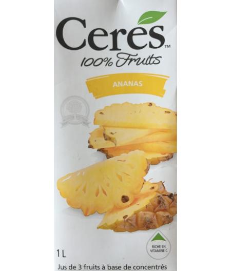 JUS DE FRUIT ANANAS