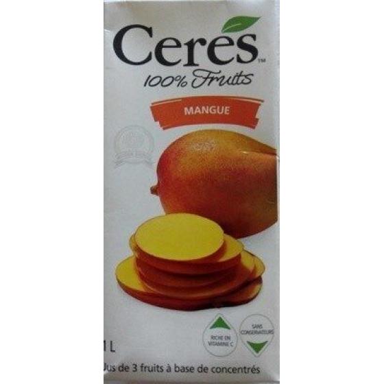 100% FRUITS MANGUE (1 L)