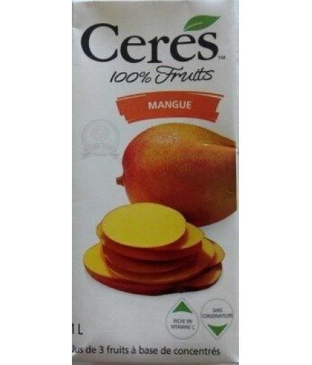 100% FRUITS MANGUE (1 L)