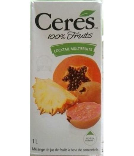 COCKTAIL MULTIFRUITS ( 1 L)