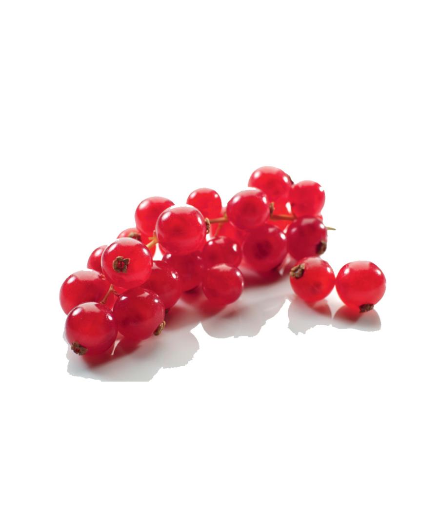 GROSEILLE ROUGE BARQUETTE 125 G CATéGORIE 1 CHILI GROSEILLE ROUGE BARQUETTE 125 G CATéGORIE 1 CHILI