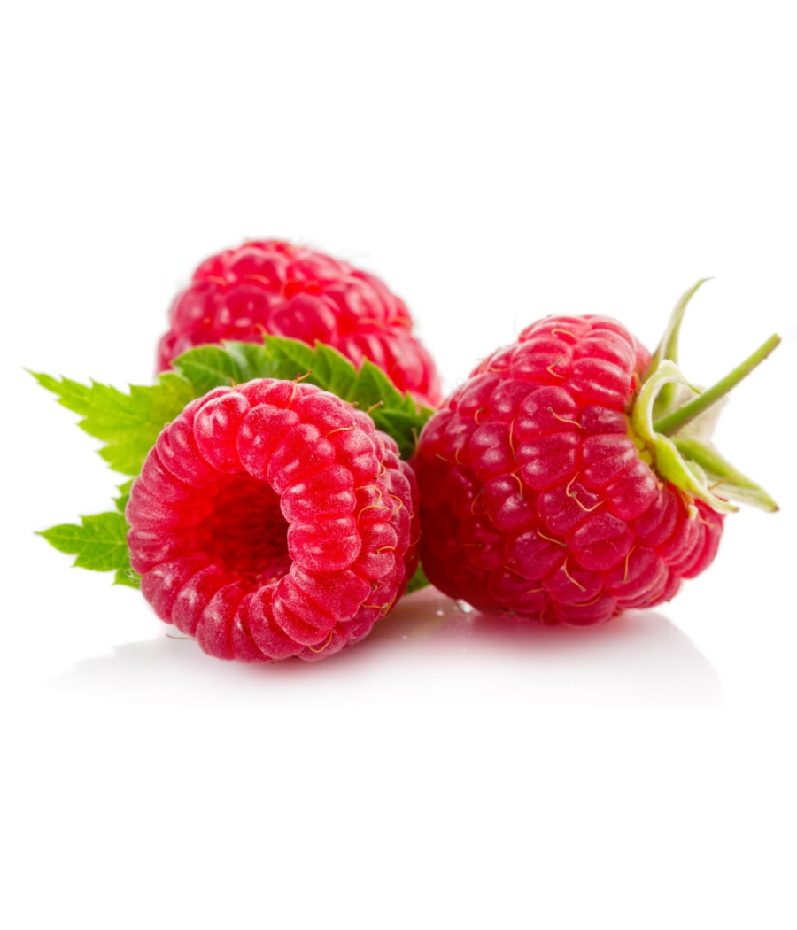 FRAMBOISE BARQUETTE 125 G CATéGORIE 1 PORTUGAL FRAMBOISE BARQUETTE 125 G CATéGORIE 1 PORTUGAL
