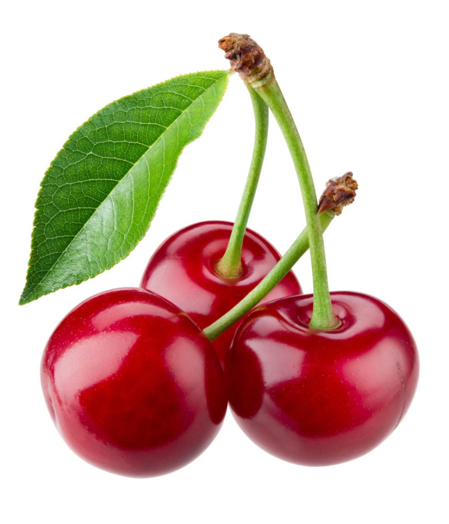 CERISE CALIBRE 24+ FRANCE CERISE CALIBRE 24+ FRANCE