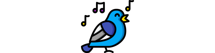 Oiseaux
