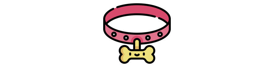 Accésoires Chiens