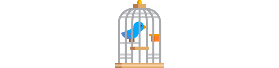 Cage et accessoires
