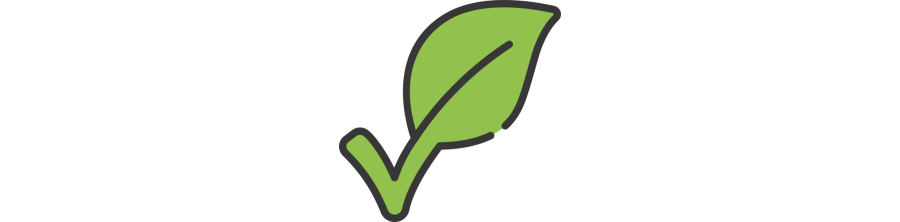 Végétarien