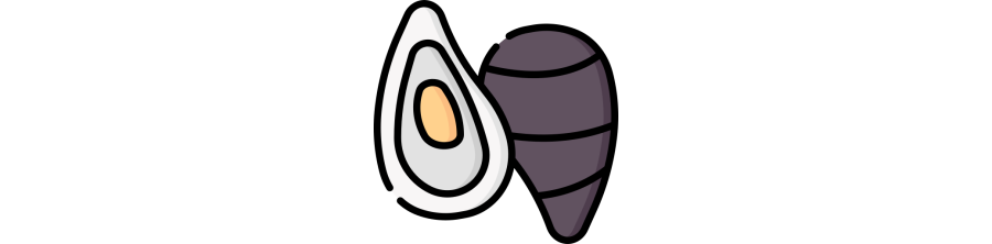 Coquillages