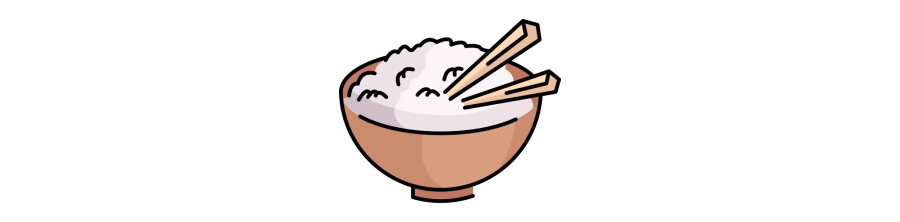 Riz