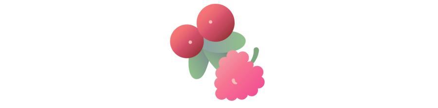 Fruits rouges