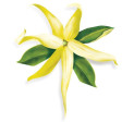 Mayotte drapeau