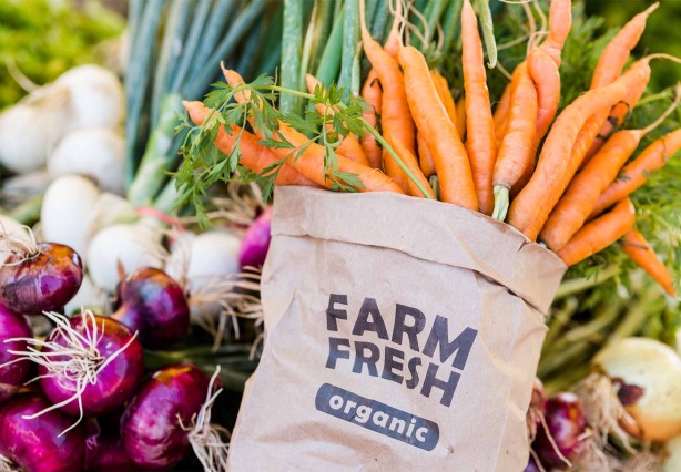 The Best Selection of Fresh Vegetables and Fruits!